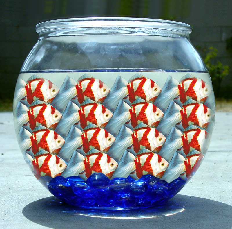 Photoshop Design by rblack for DesignCrowd (Community Contests) | Design #9027542