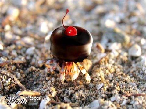 Photoshop Design by plontonious