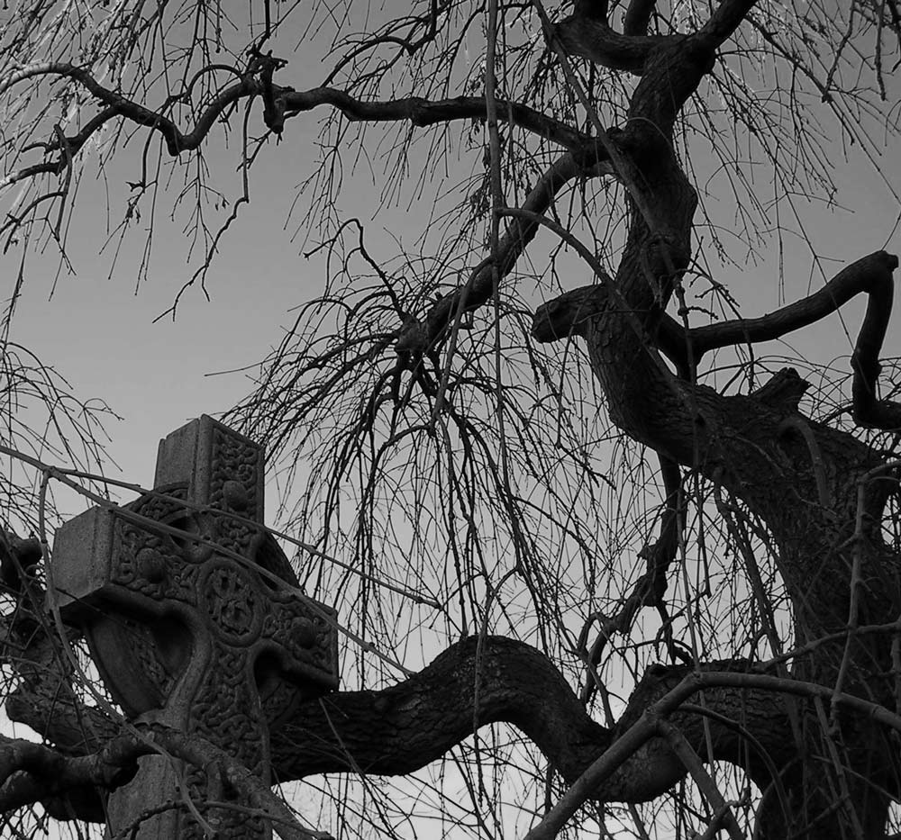 Photographie par Massie pour DesignCrowd (Community Contests) | Design #9022361