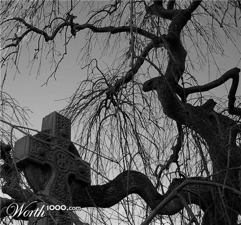 Photography by Massie