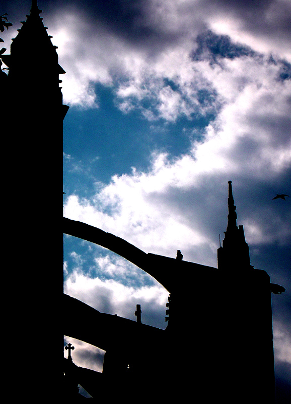 Photography by AsierReisa for DesignCrowd (Community Contests) | Design #9022333