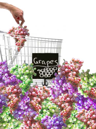 Photoshop Design by eckdeck for DesignCrowd (Community Contests) | Design #9027548