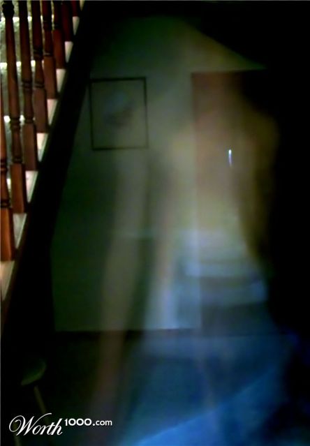 Photography by TotalDomination