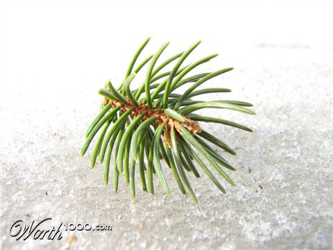 Photography by gzusfrk