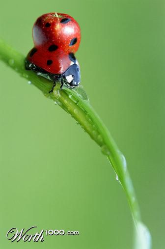 Photoshop Design by scratattack5