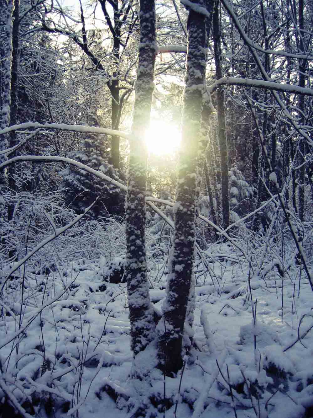 Photographie par pykeman pour DesignCrowd (Community Contests) | Design #9027306