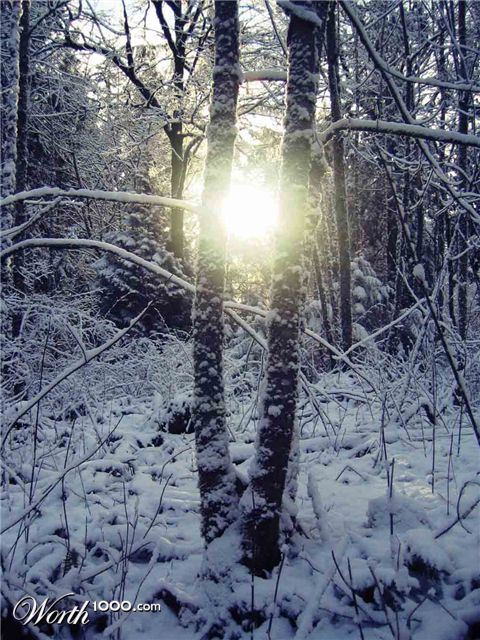 Photography by pykeman