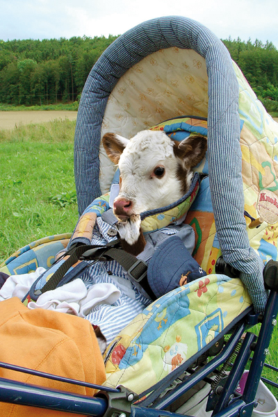 Photoshop-Design von MarindH für DesignCrowd (Community Contests) | Design #9024086