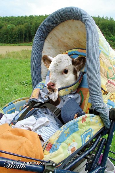 Photoshop Design by MarindH