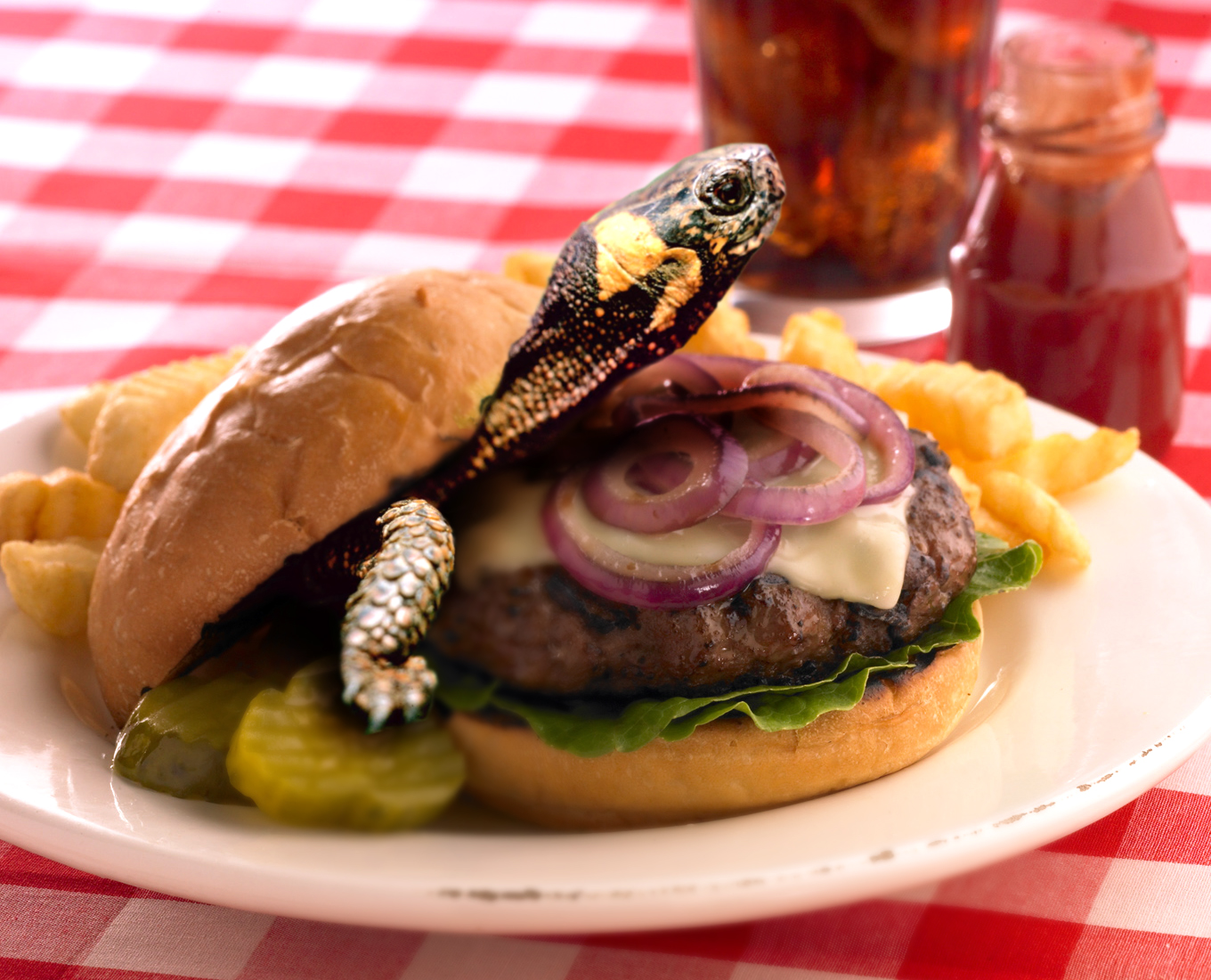 Design Photoshop par reneehiggs pour DesignCrowd (Community Contests) | Design #9027933