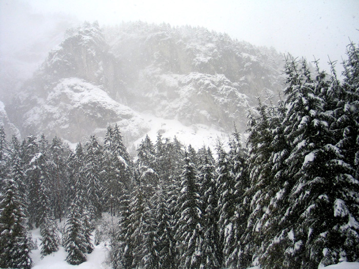 Fotografía por greenjesus para DesignCrowd (Community Contests) | Diseño #9027319