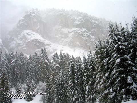 Photography by greenjesus