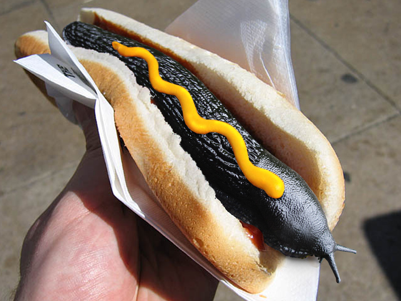 Photoshop Design by rblack for DesignCrowd (Community Contests) | Design #9027963