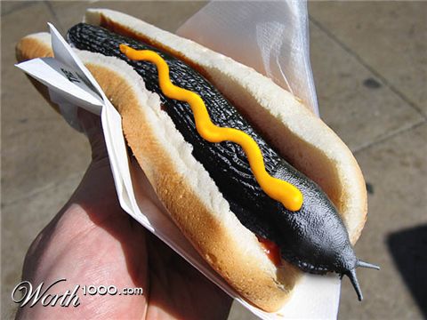 Photoshop Design by rblack