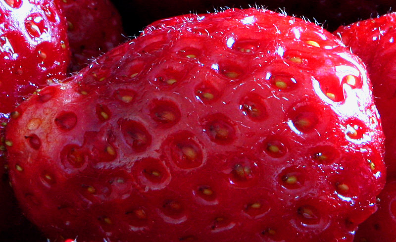 Photography by torkio for DesignCrowd (Community Contests) | Design #9020440