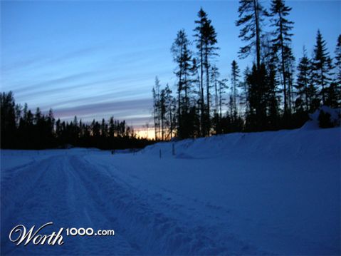 Photography by coolpix2