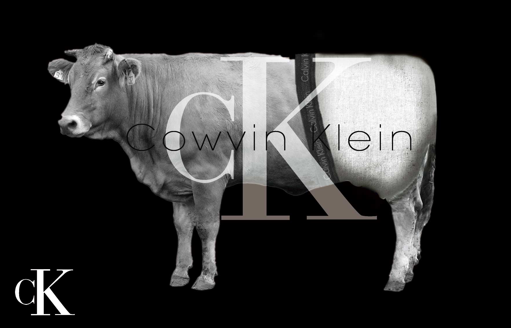 Design Photoshop par kgittoes pour DesignCrowd (Community Contests) | Design #9024157