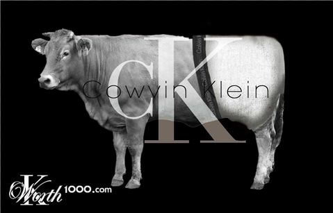 Photoshop Design by kgittoes