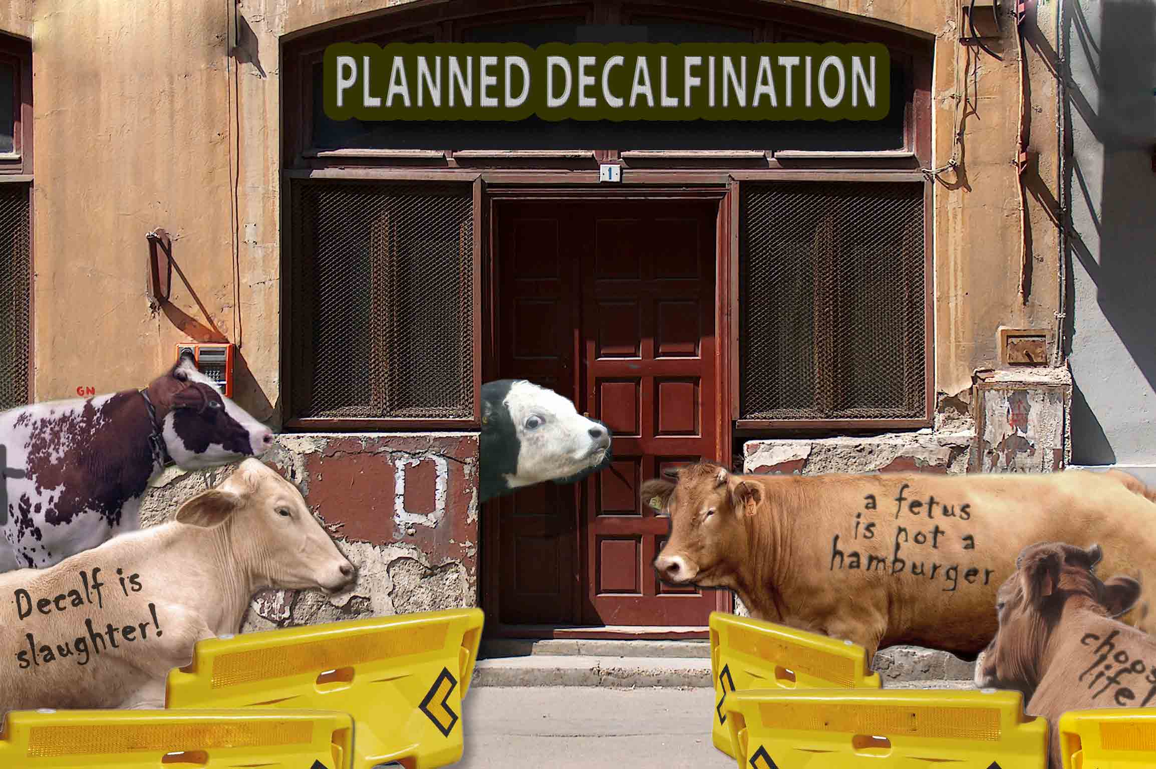 Photoshop Design by JuniorWences for DesignCrowd (Community Contests) | Design #9024137