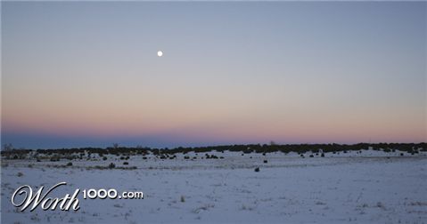 Photography by drdonallen