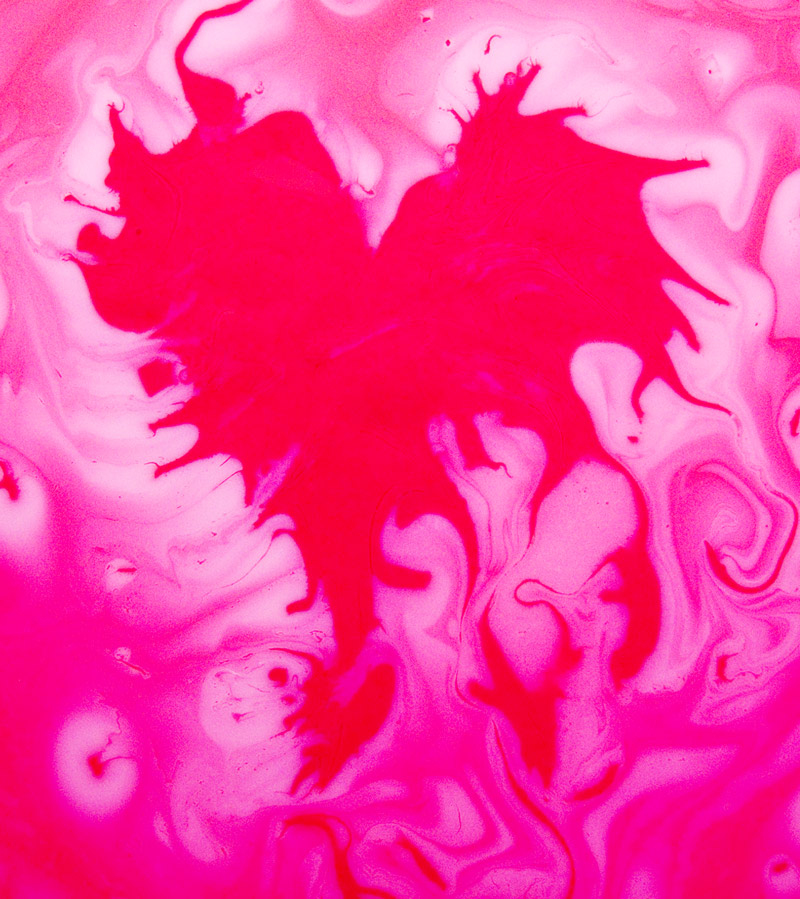 Photography by georgethedog for DesignCrowd (Community Contests) | Design #9020331