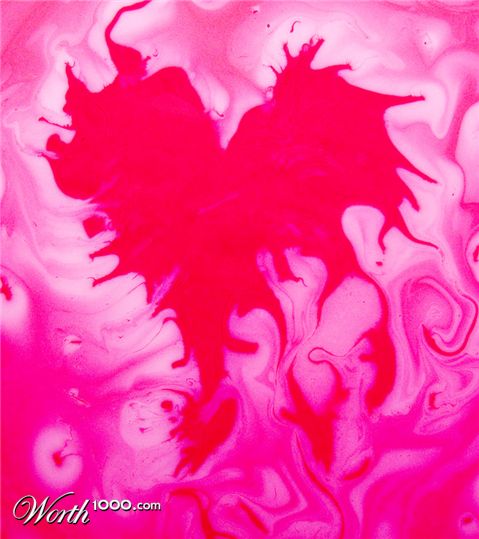 Photography by georgethedog