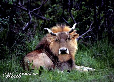 Photoshop Design by ManjushaVO