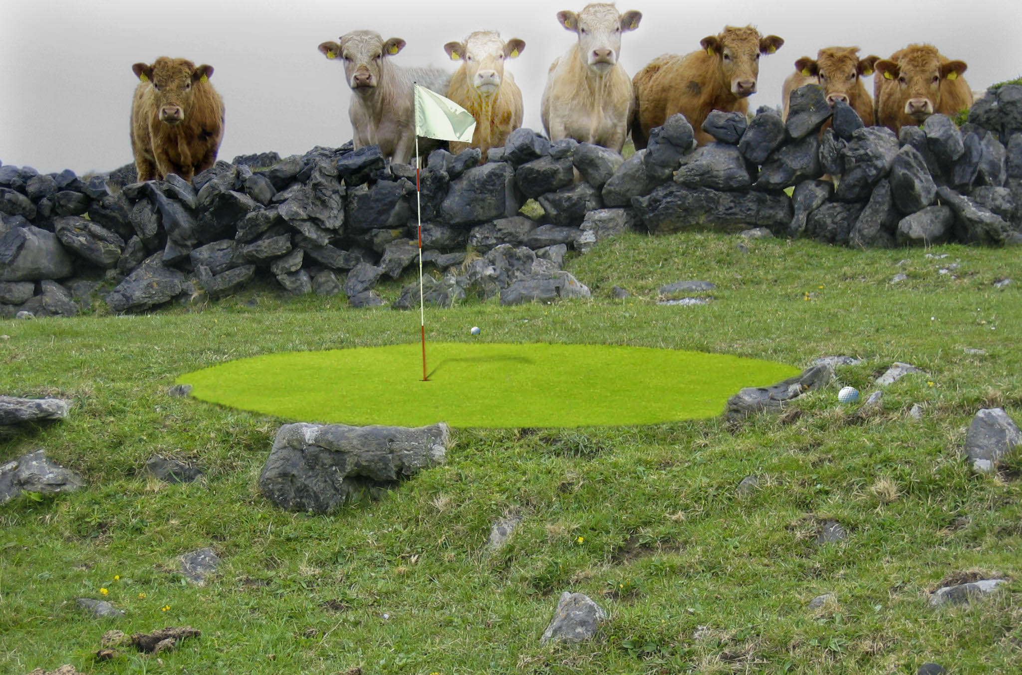 Photoshop-Design von flipdakje für DesignCrowd (Community Contests) | Design #9024229