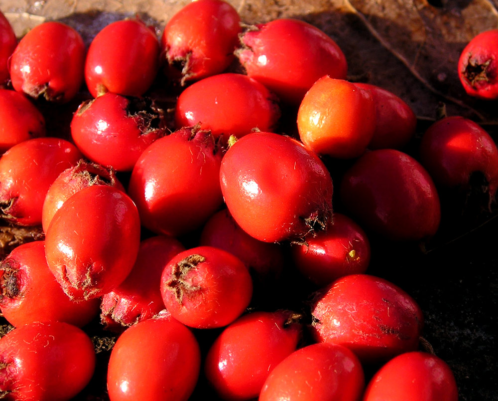 Photographie par Massie pour DesignCrowd (Community Contests) | Design #9020321