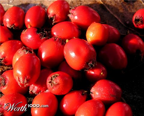 Photography by Massie