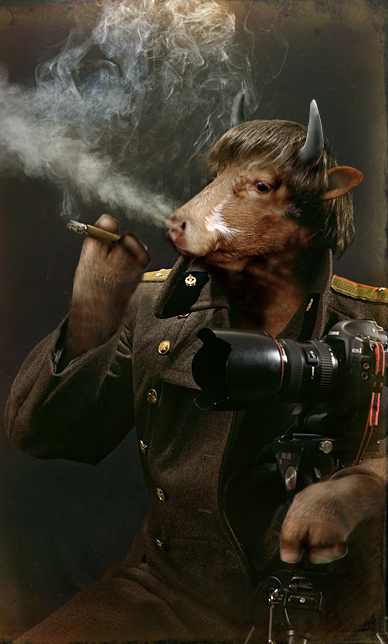 Diseño de Photoshop por Najeeb ul Hasan para DesignCrowd (Community Contests) | Diseño #9024247