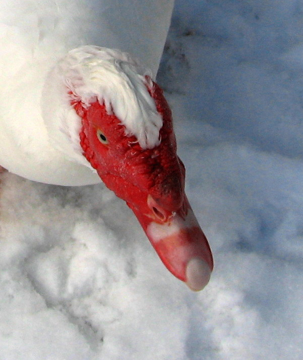 Photography by UnoBADFISH for DesignCrowd (Community Contests) | Design #9020462