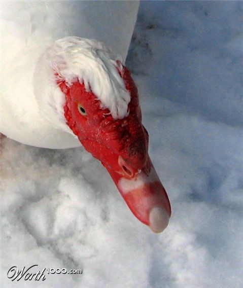 Photography by UnoBADFISH