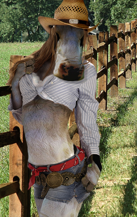 Photoshop Design by mjhaylor for DesignCrowd (Community Contests) | Design #9024263