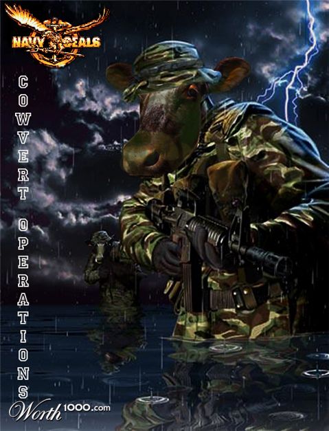 Photoshop Design by bennyandthemets