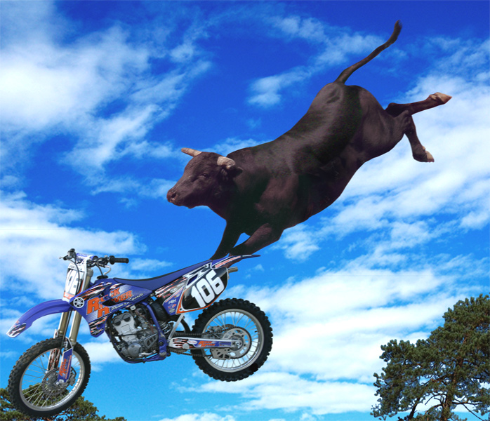 Photoshop Design by Mongoose112278 for DesignCrowd (Community Contests) | Design #9024254