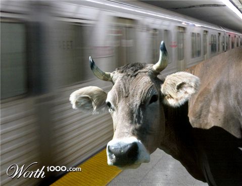 Photoshop Design by plontonious