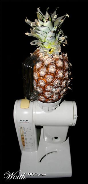 Photography by majkus