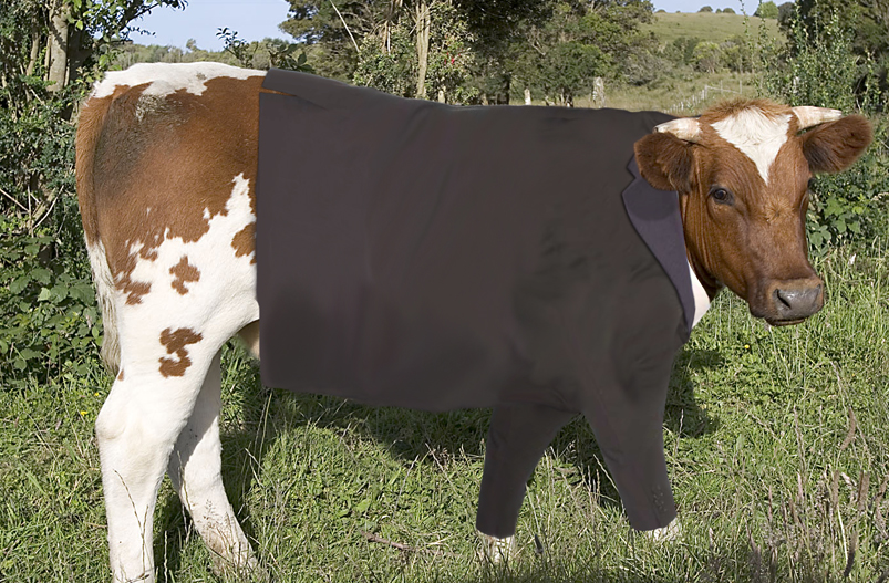 Photoshop Design by MRayubu for DesignCrowd (Community Contests) | Design #9024373