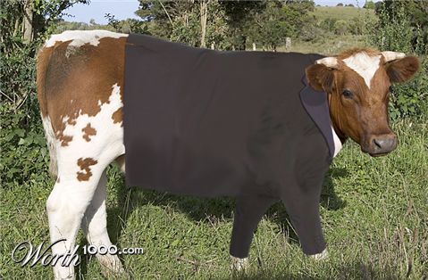 Photoshop Design by MRayubu