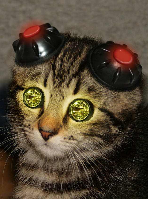 Photographie par Anabole pour DesignCrowd (Community Contests) | Design #9022128