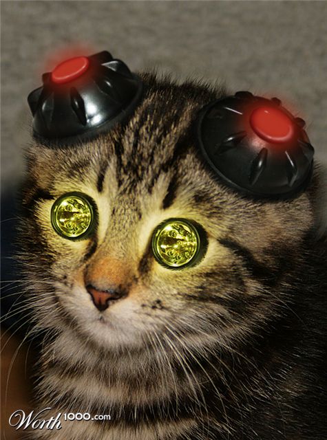 Photography by Anabole