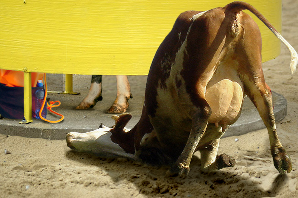 Photoshop Design by DutchPuh for DesignCrowd (Community Contests) | Design #9024342