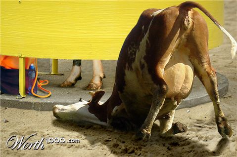 Photoshop Design by DutchPuh