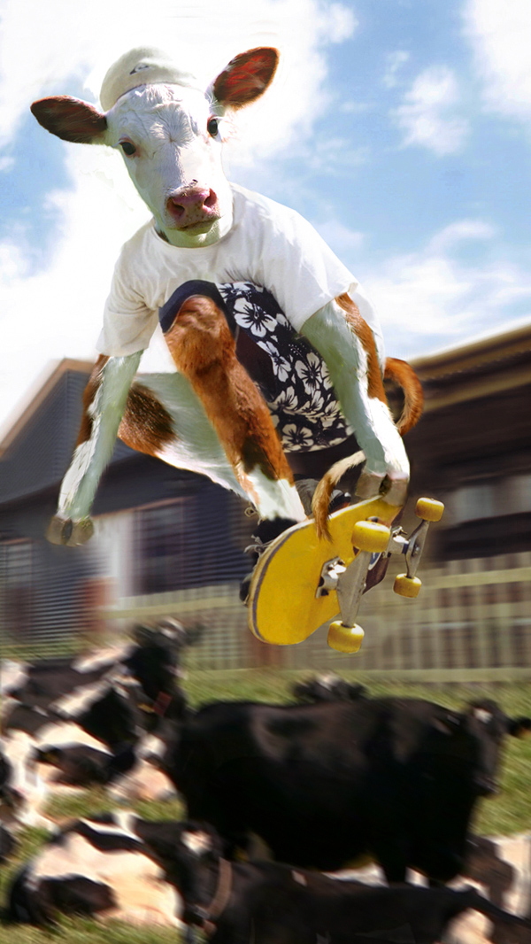 Diseño de Photoshop por Koosricardo para DesignCrowd (Community Contests) | Diseño #9024326