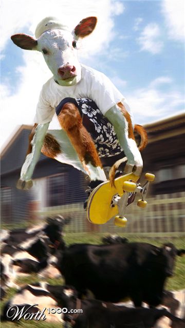 Photoshop Design by Koosricardo