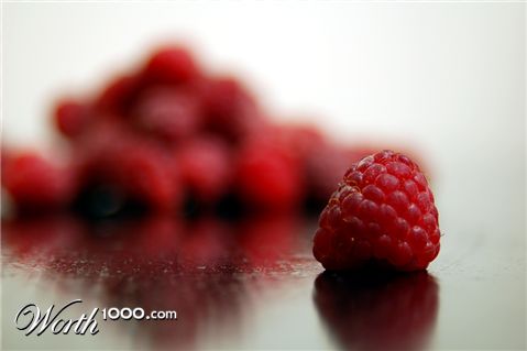 Photography by Unodarling