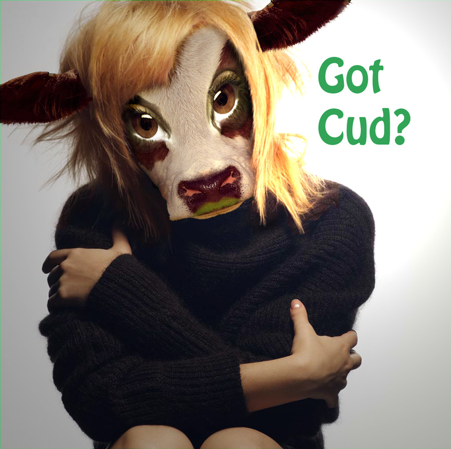 Photoshop Design by HDoyer for DesignCrowd (Community Contests) | Design #9024361