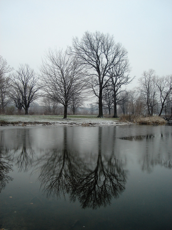 Photographie par tonedeft pour DesignCrowd (Community Contests) | Design #9027397