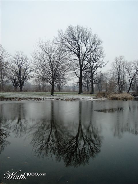 Photography by tonedeft